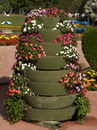 Impatiens Walleriana